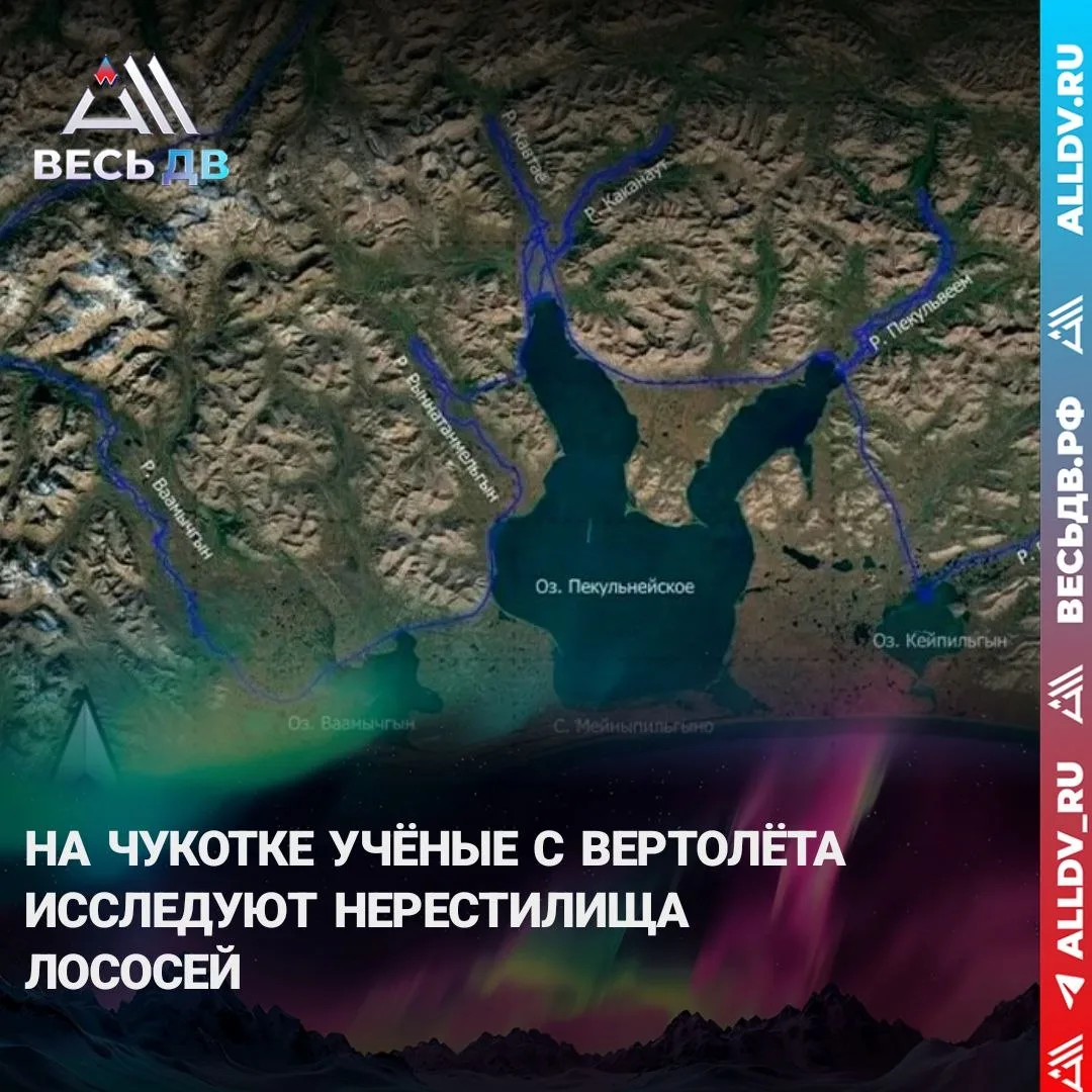Исследования продлятся до середины сентября