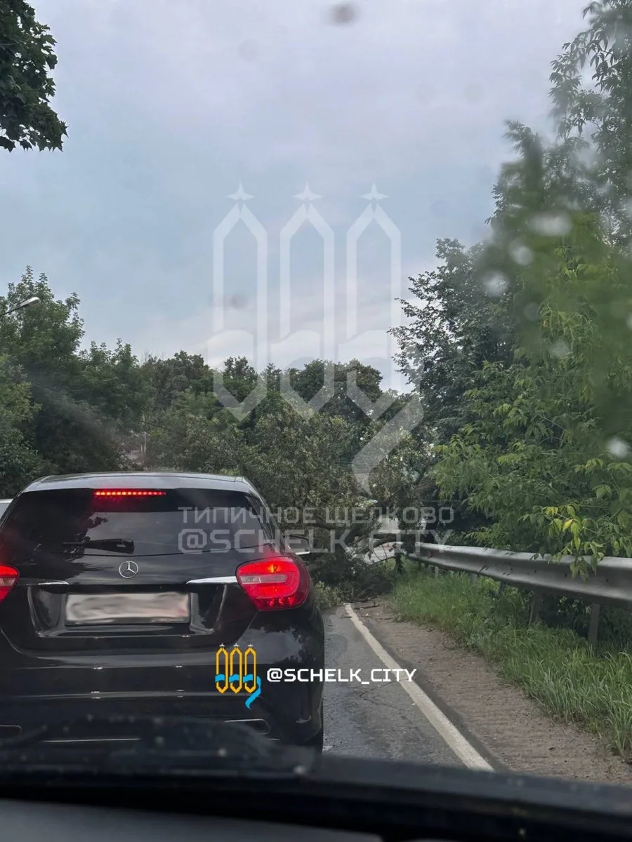 🤬 Очередные зацеперы на ярославском направлении