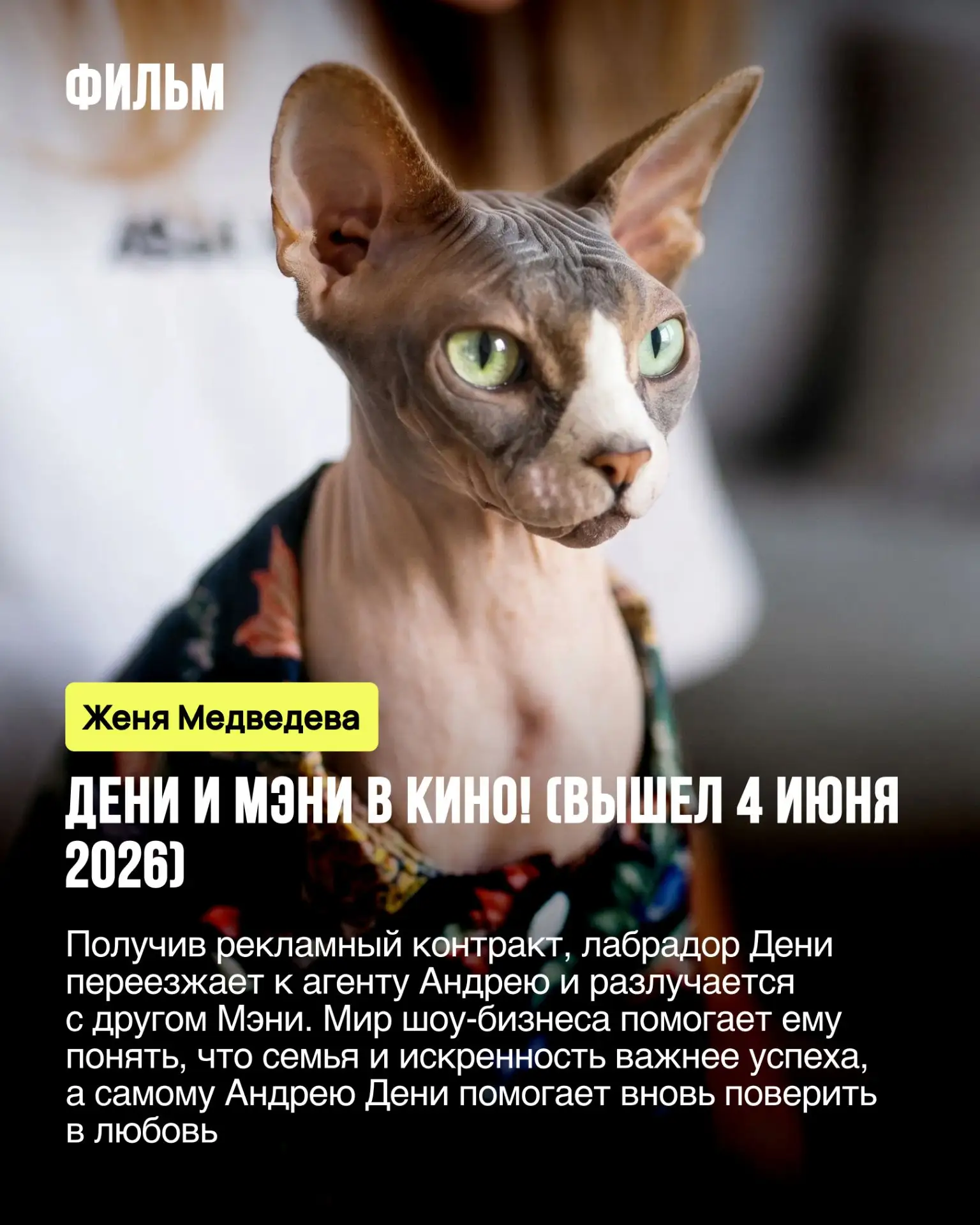 Открываешь афишу, а там снова кто-то из любимого шоу. И так на каждой второй премьере — и нет, мы не