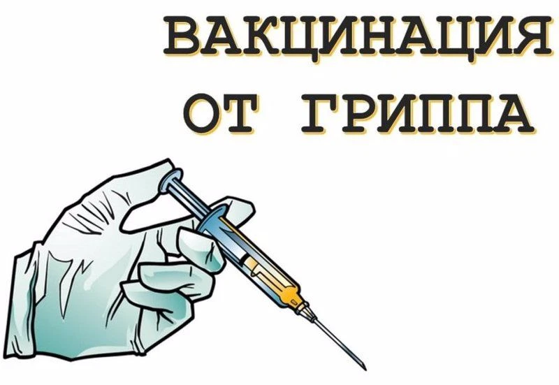 Вакцинация от гриппа: сезон 2025–2026