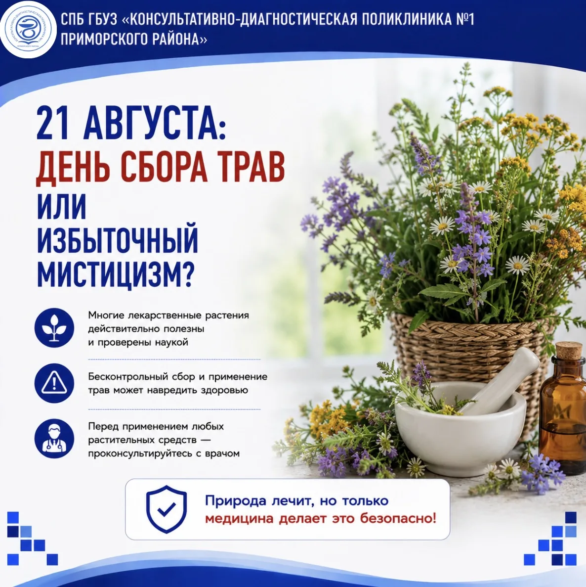 🌿 21 АВГУСТА: ДЕНЬ СБОРА ТРАВ ИЛИ ИЗБЫТОЧНЫЙ МИСТИЦИЗМ?