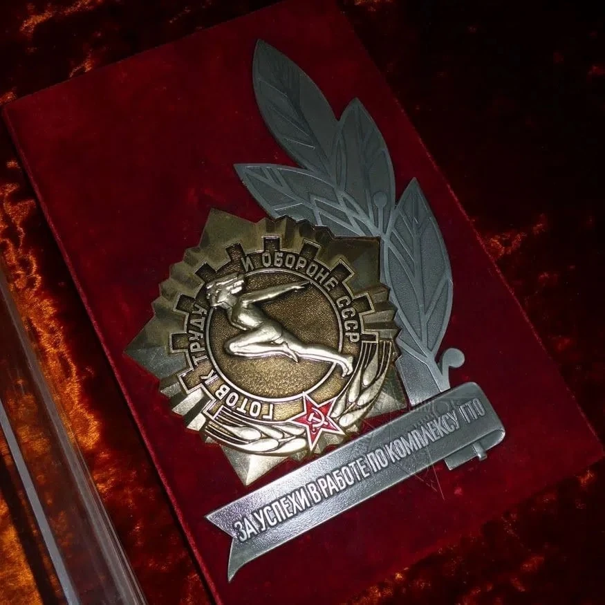 🏅 Знак «За успехи в работе по комплексу ГТО»