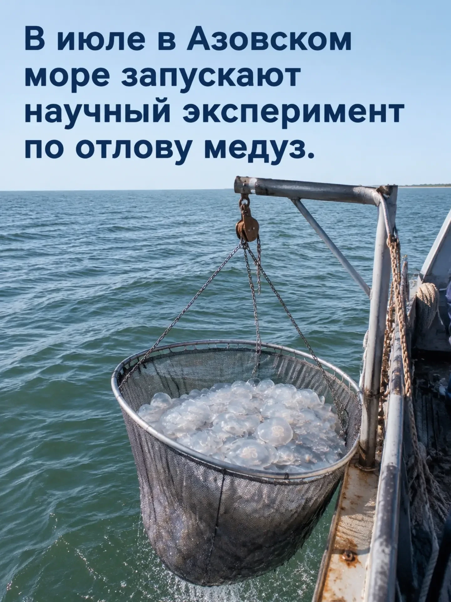 ⚡С июля в Азовском море запускают научный эксперимент по отлову медуз

Из-за роста солености Азовско