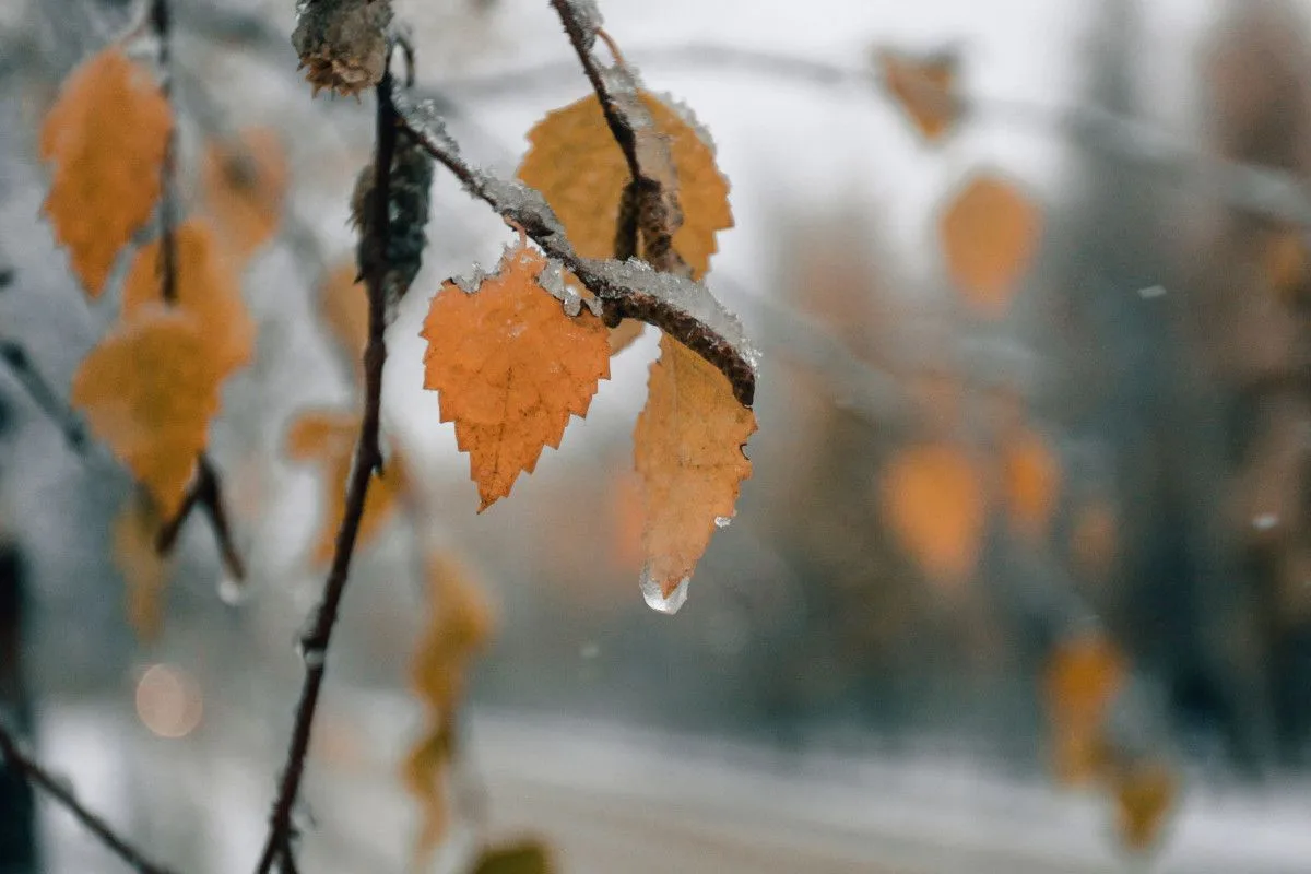 До -12 градусов похолодает ночью в центральных районах Якутии
