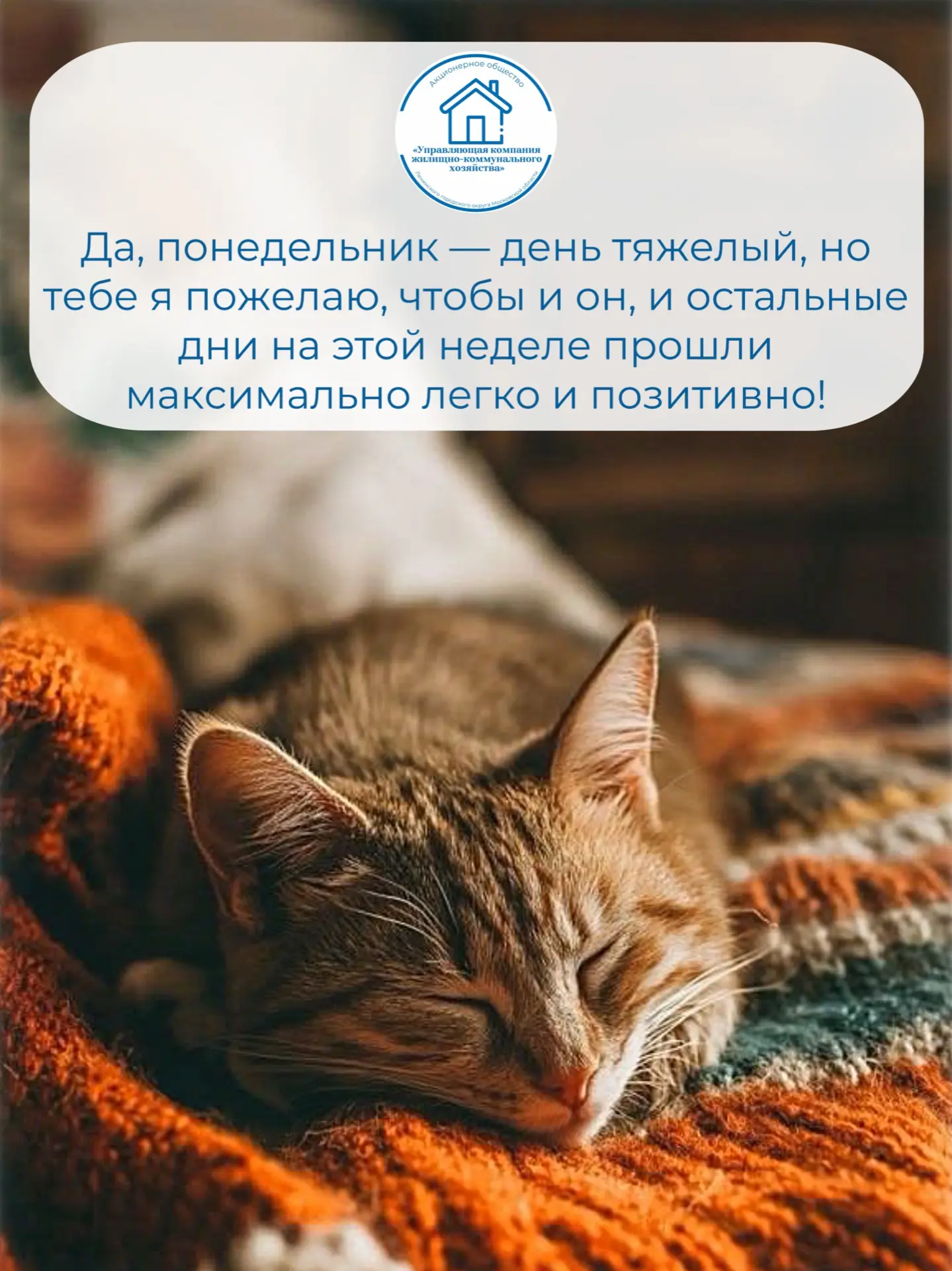 ▶️ Telegram | Вконтакте | MAX