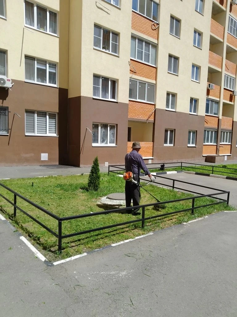 🍃 Выполнен покос травы по следующим адресам: