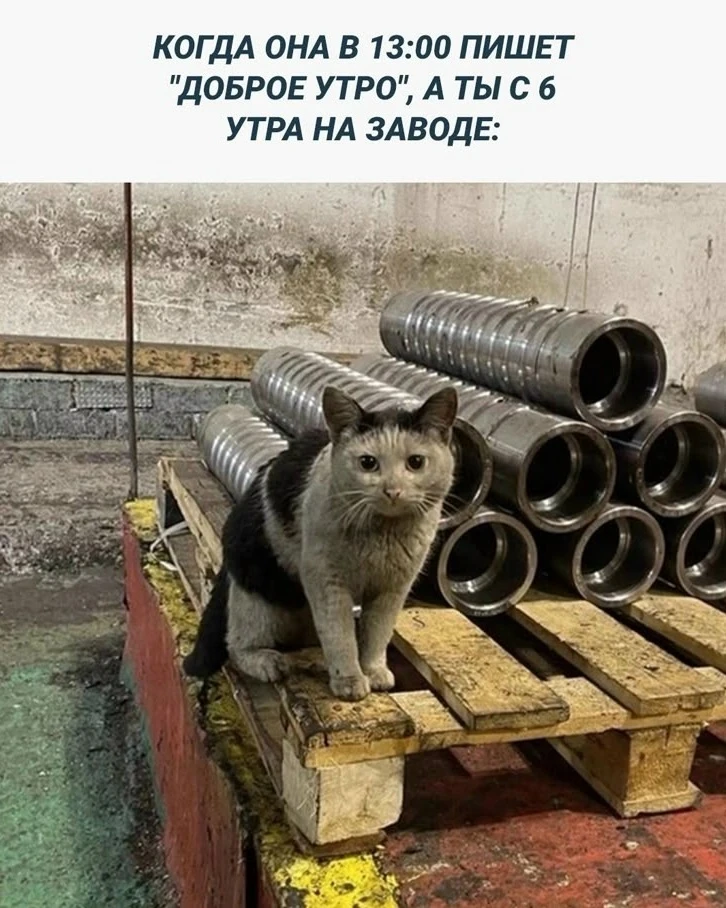 Отличного  воскресенья вахтовики🔥

👉 Нетипичный Вахтовик👈