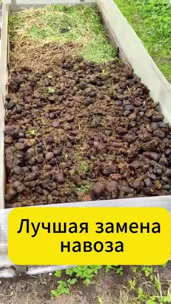 🧑‍🌾 Лучшая замена навоза

Я из Питера👈нажимай
Я из Москвы👈переходи