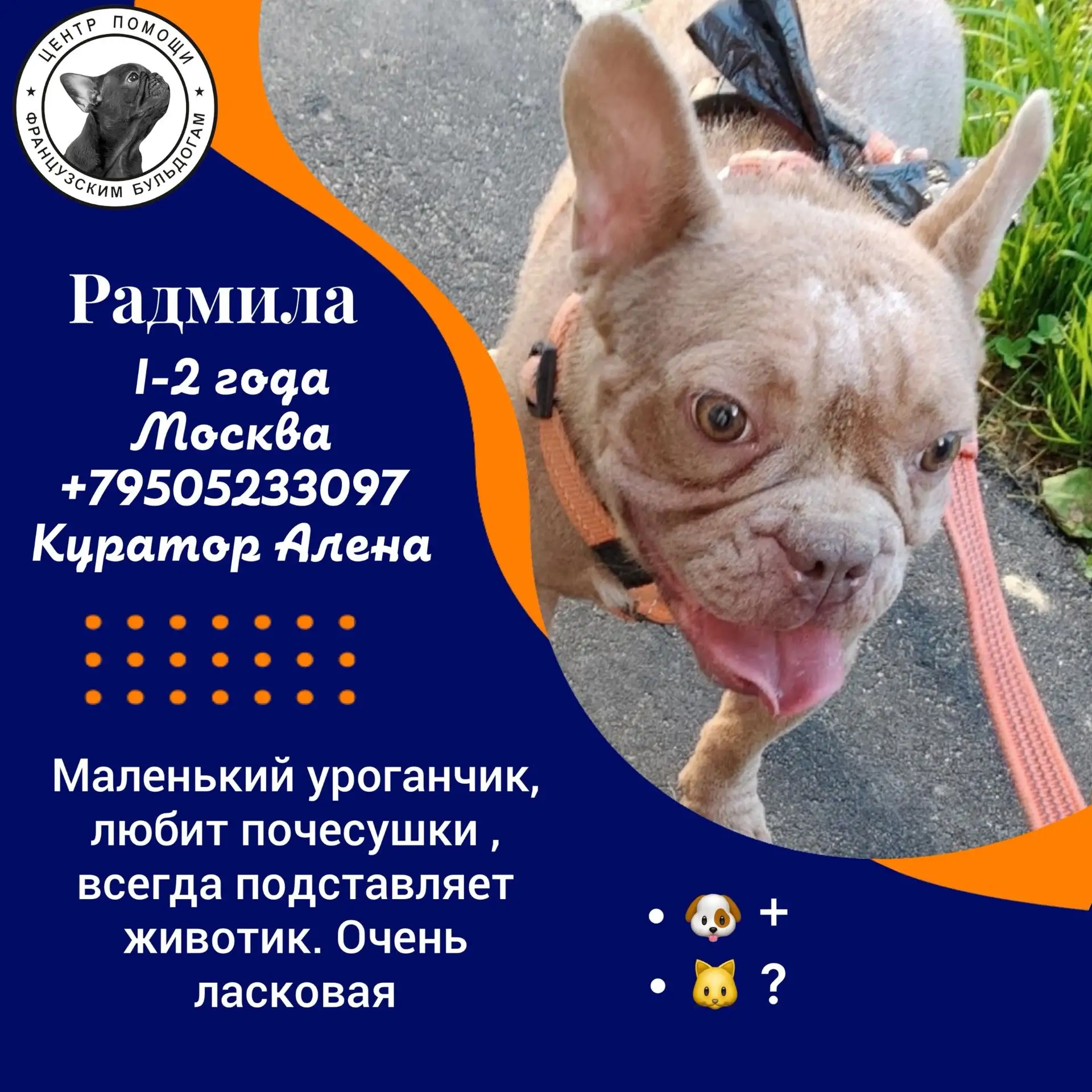 Нежная малышка ищет свой дом 🏡❤️