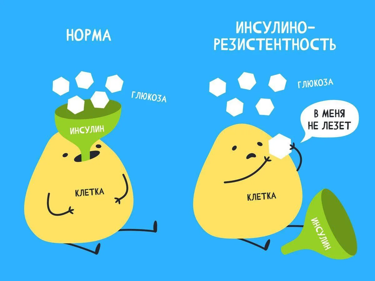 КРОВЬ или ГЛЮКОЗНЫЙ СИРОП?

Эволюция человека всегда проходила в условиях голода. 
Поэтому у нас раз