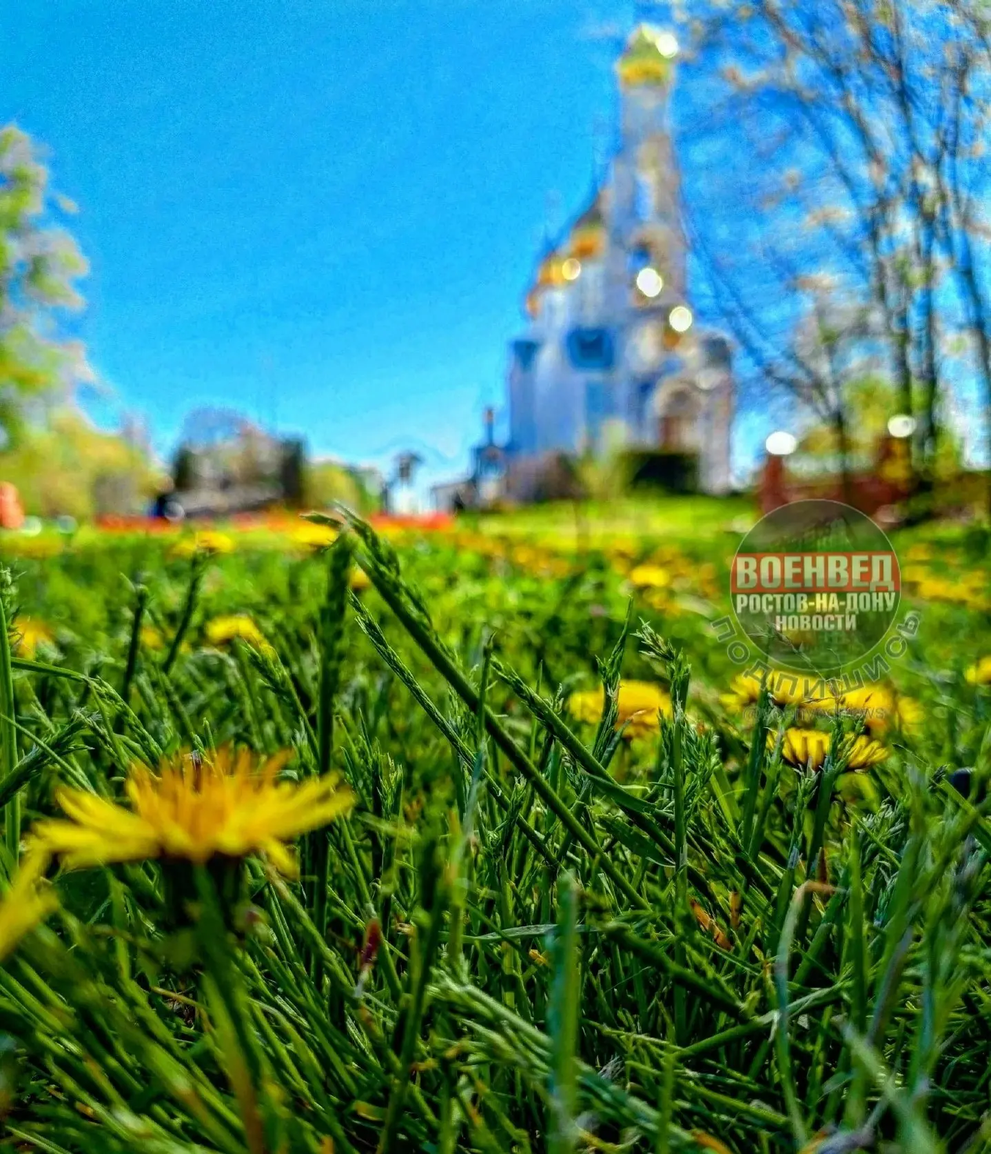 ☀️ Яркое утро пятницы на Военведе!
Доброе утро, друзья! Рабочая неделя подходить к концу, а значит —