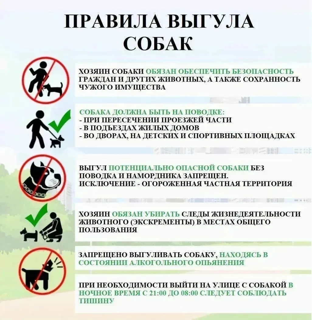 ❗Памятка с правилами выгула собак ❗