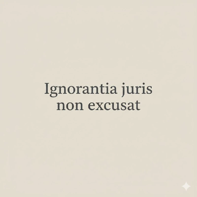 незнание закона не оправдывает«Ignorantia juris non excusat.»«Незнание закона не освобо...