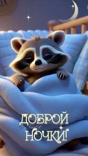 🌜Доброй ночи, дорогие подписчики! Доброй ночи, Запорожье!😴