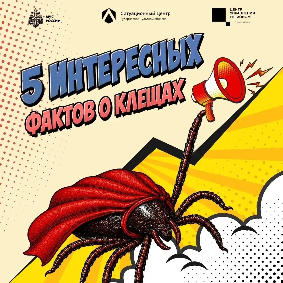 🕷 Они появились на Земле раньше динозавров

Они сидят в траве и на низких кустарниках. Но самое гла