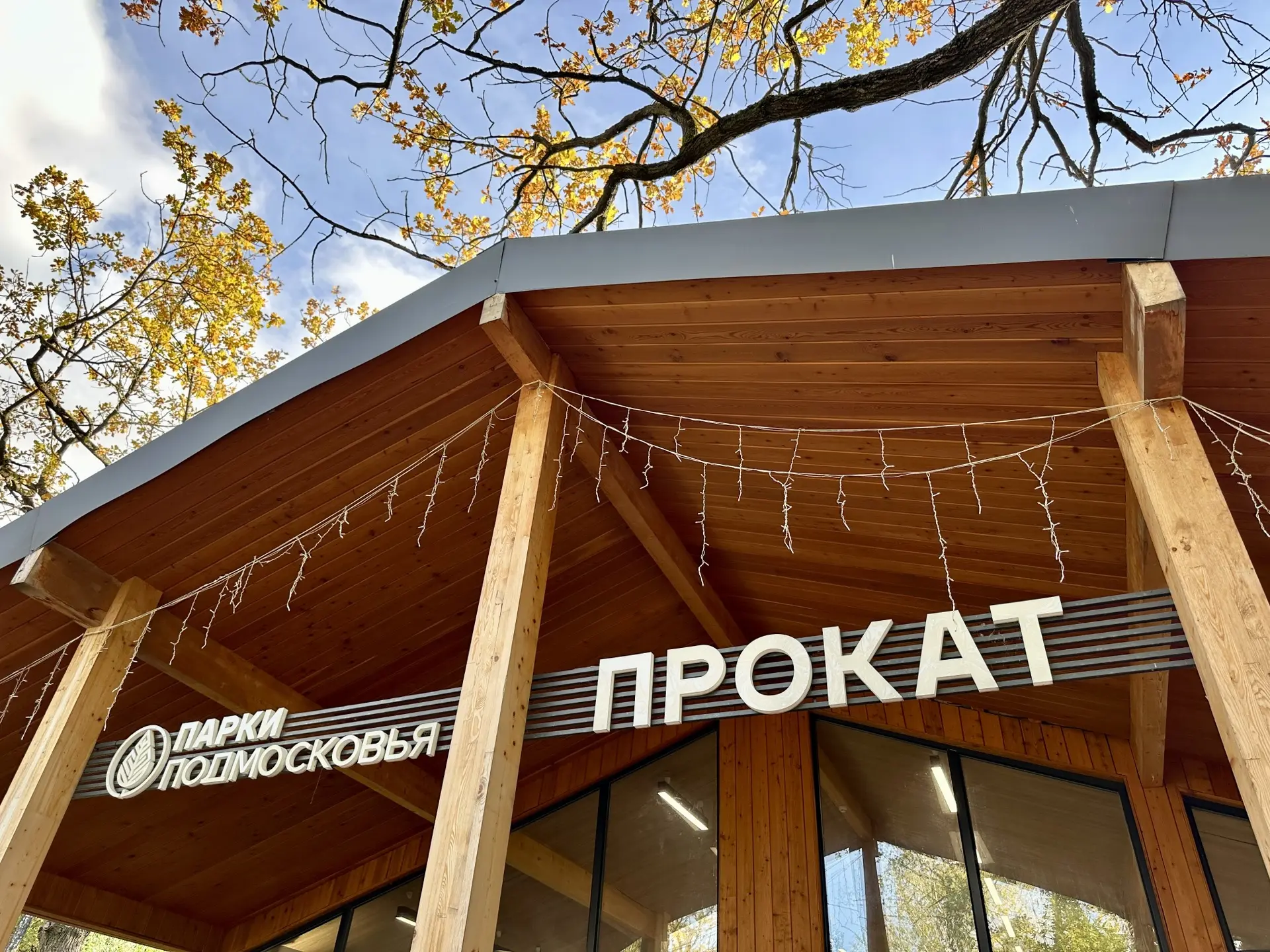 🍂 Активная осень во Фрязинском лесопарке🚴‍♀️
