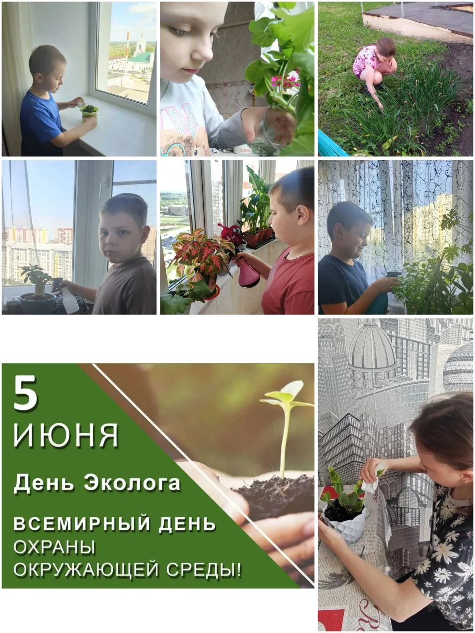 День эколога — профессиональный праздник всех российских защитников природы, специалистов по охране 