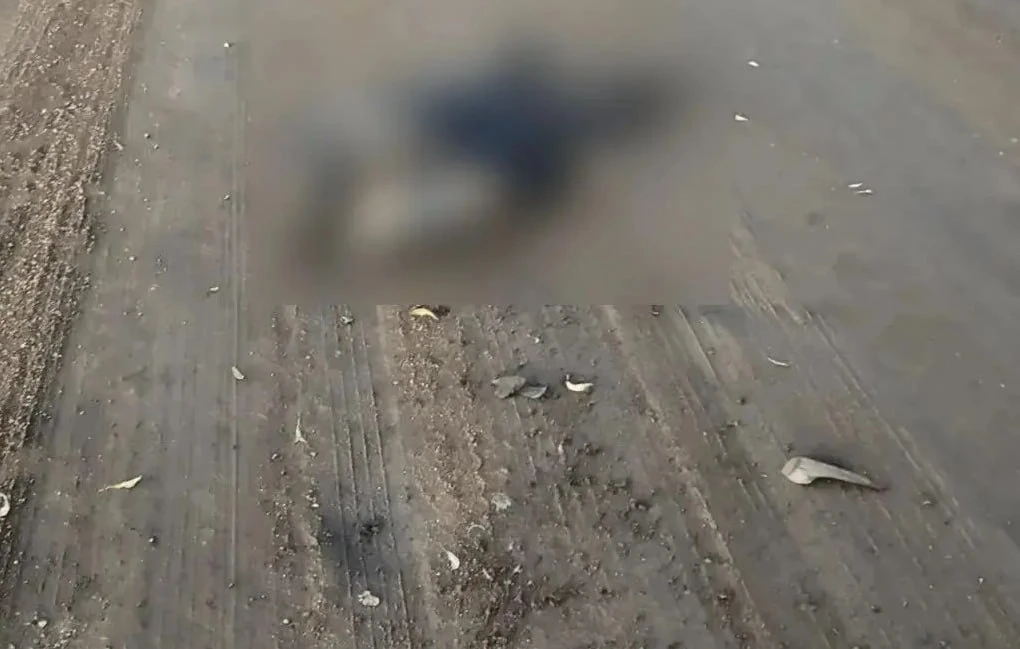 🚨 В Башкирии пьяный водитель насмерть сбил пешехода и скрылся
