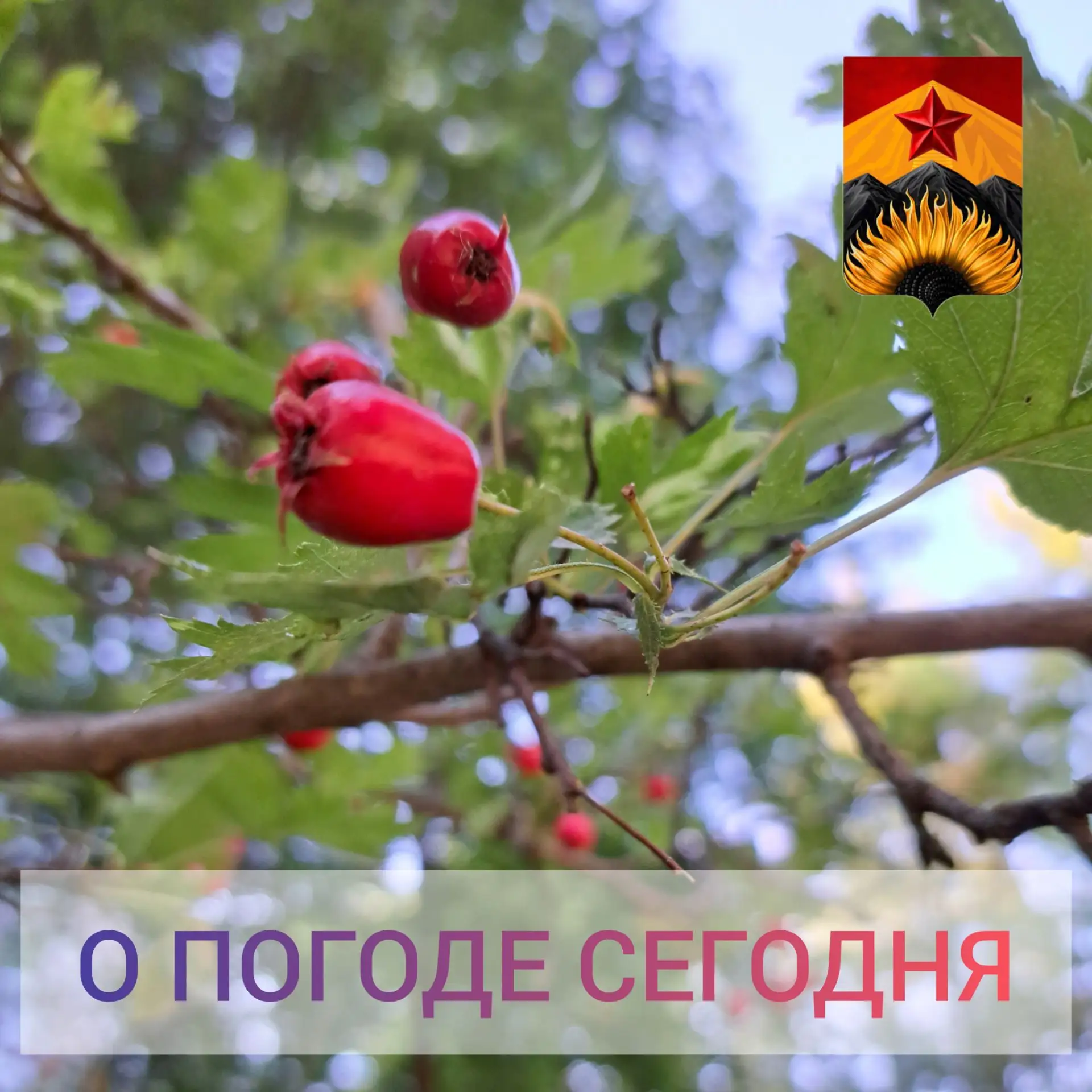 Гидрометцентр сообщил о погоде в Шахтерском округе