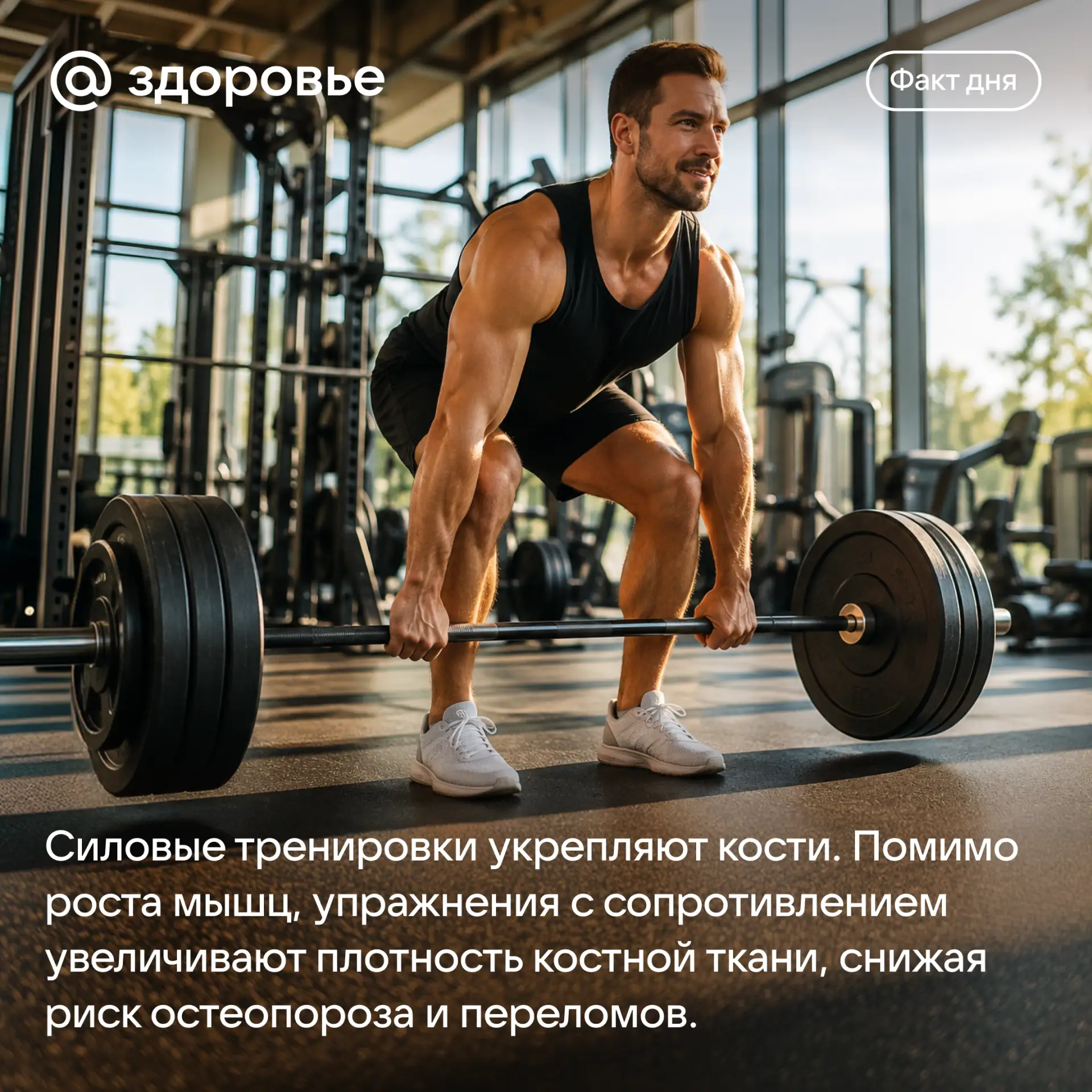 Хорошего вечера! ✨