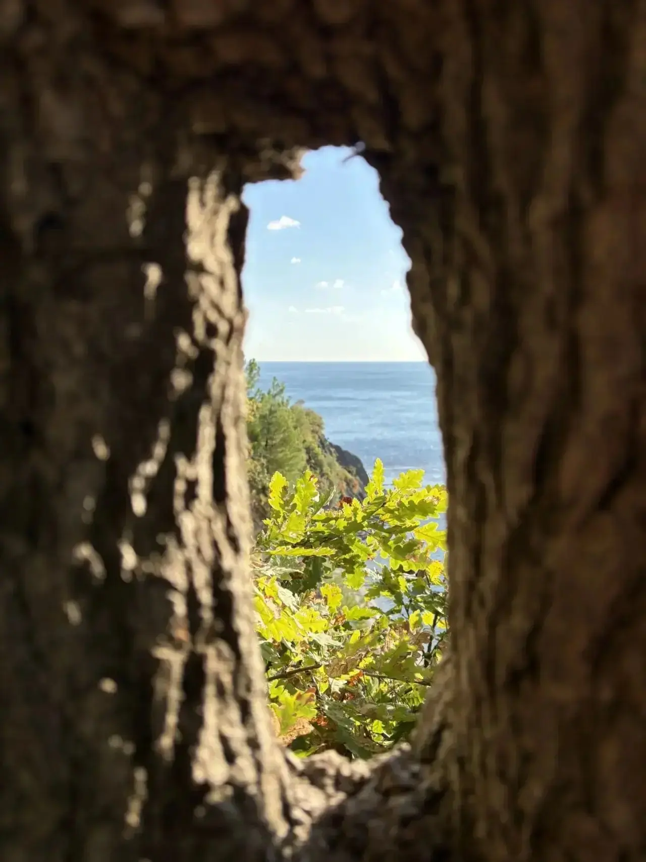 Прекрасная осенняя Ольгинка 🍂🌊