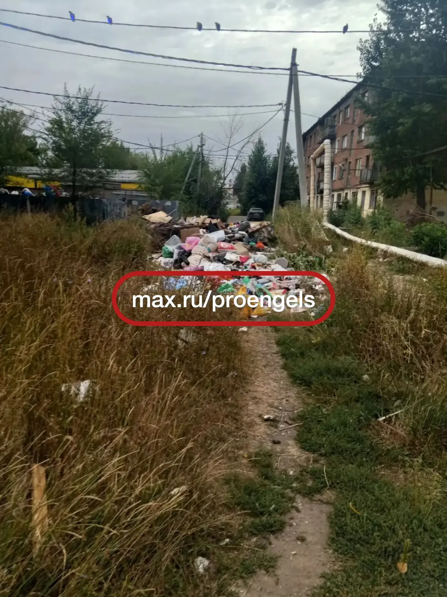 😱Детям приходится идти в школу через свалку