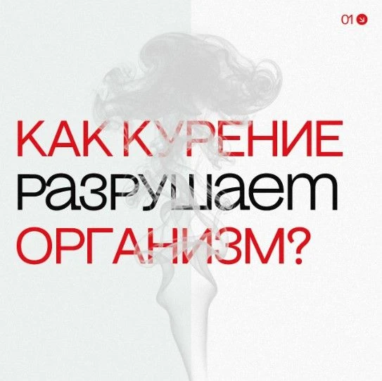 ☠️ Говорят: «Курение убивает»️

❗️И это не преувеличение: жизнь курильщика в среднем короче на 10–12