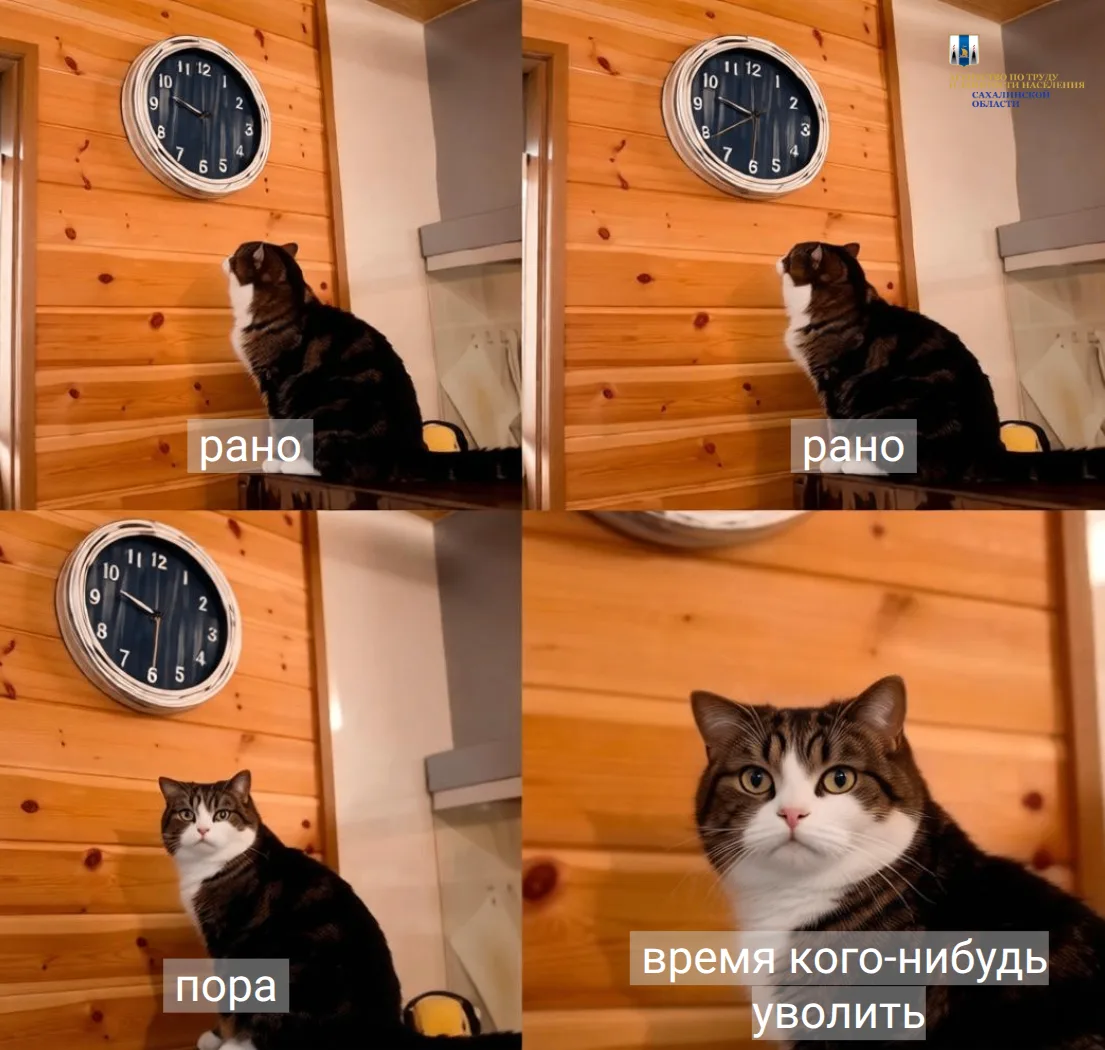 ⏰Если ваши трудовые отношения не оформлены, они в любой момент могут быть прекращены по...