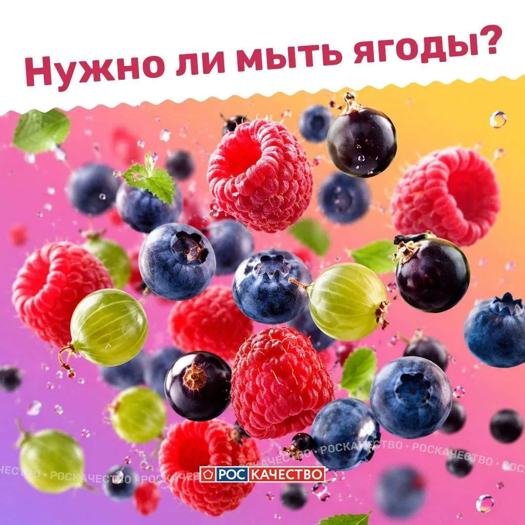 Мыть или не мыть? Как правильно обращаться с ягодами 🍓