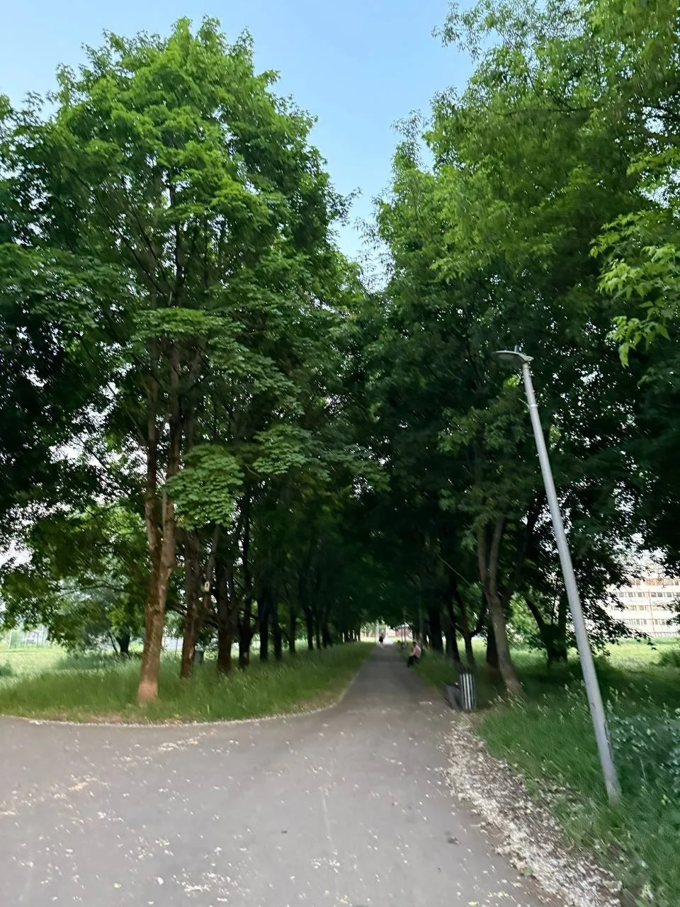 Подписчик поделился вот таким кадром из нашего района 🔥