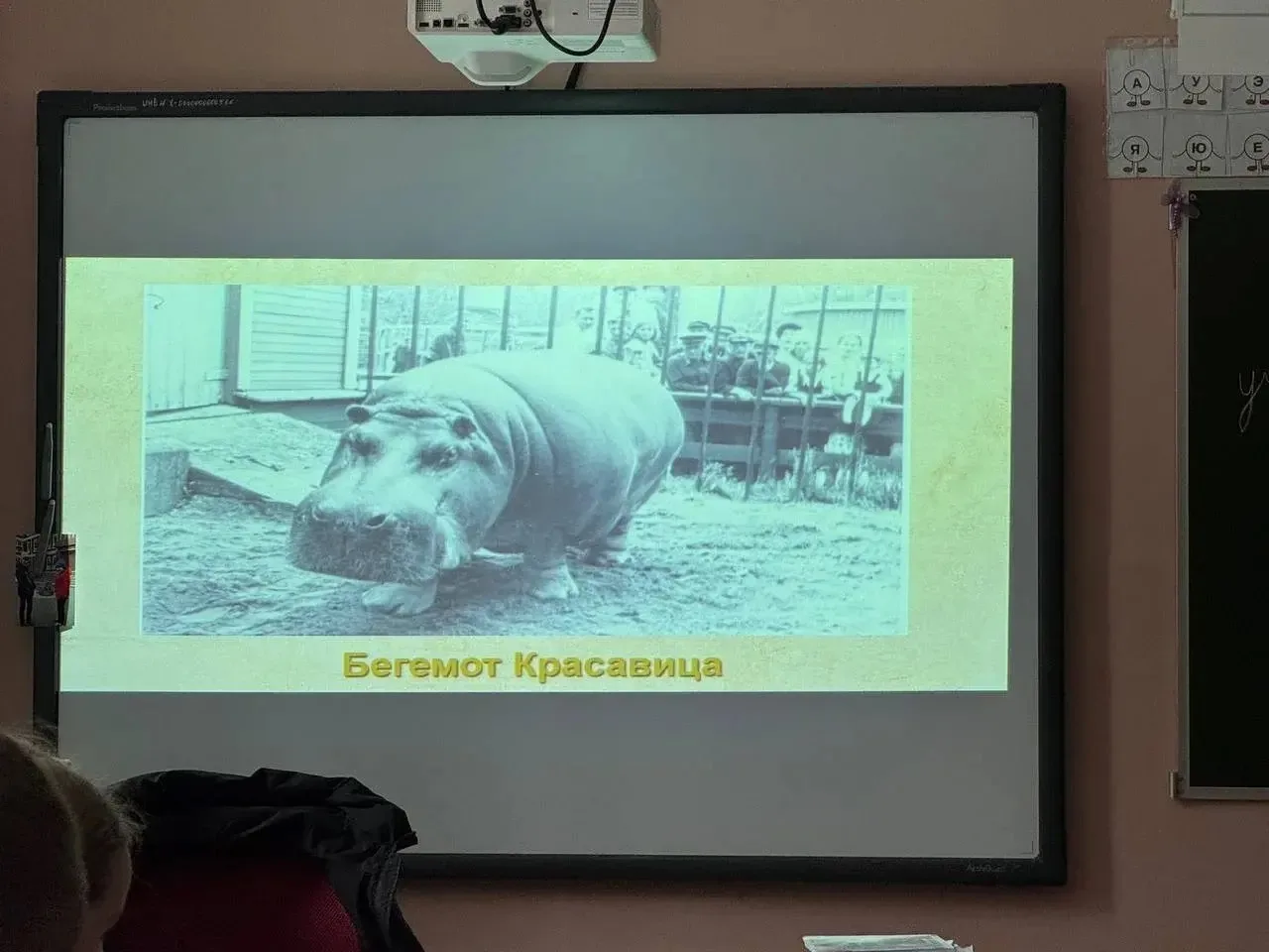 19 февраля в 3 «Б» классе прошло необычное и очень интересное занятие! К ребятам в гости приехал Лен