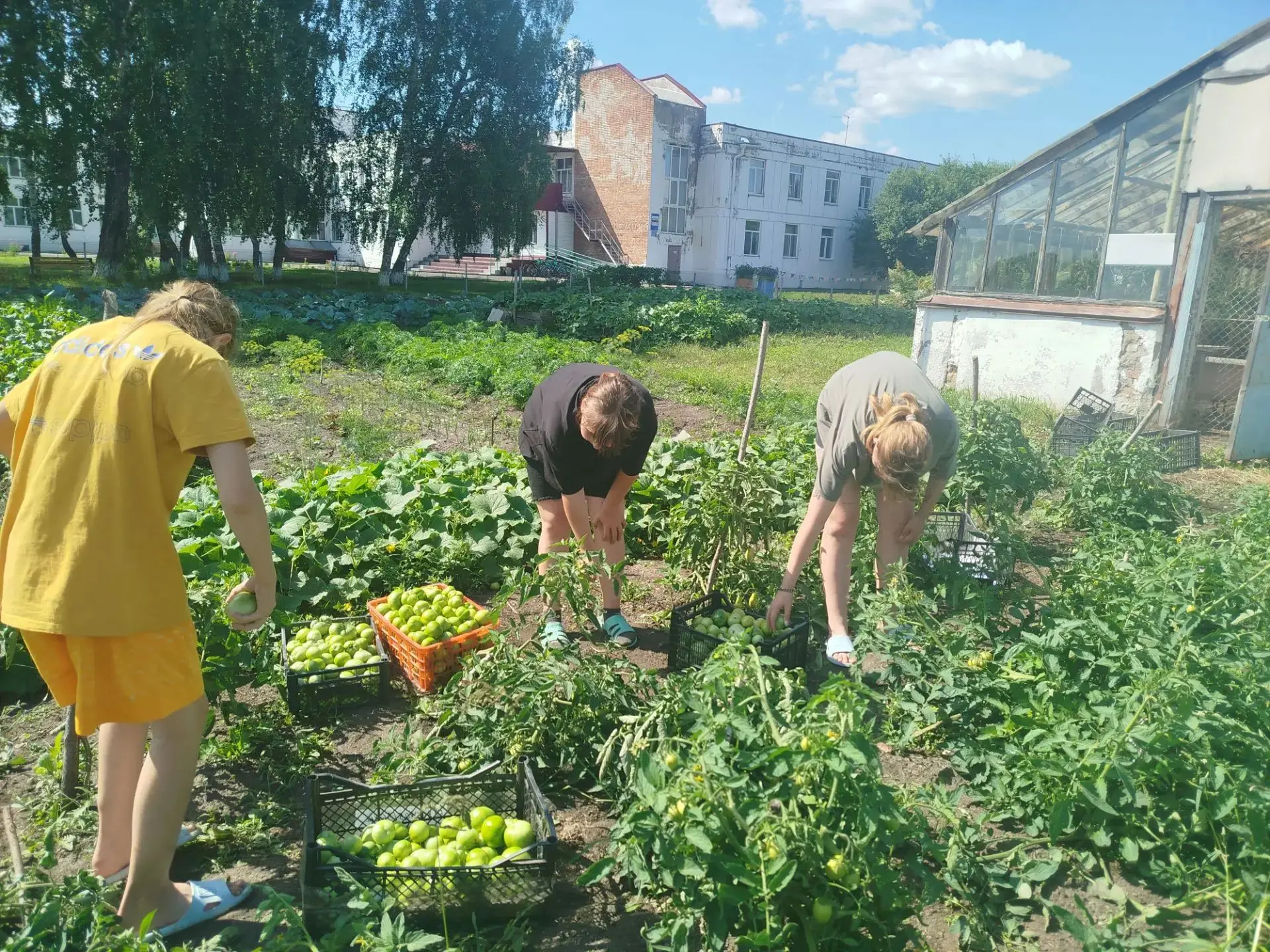 В доме детства снова пахнет летом и чудесами! 🍅🌞