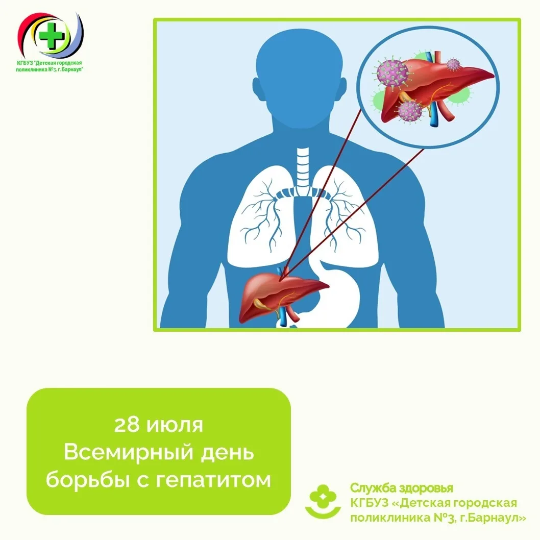 Всемирный день борьбы с гепатитом отмечается ежегодно 28 июля - учрежден ВОЗ по инициативе Всемирног