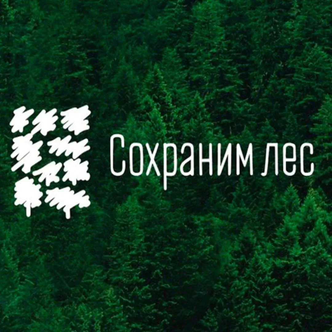 С началом осеннего лесокультурного сезона в России традиционно проходит Всероссийская а...
