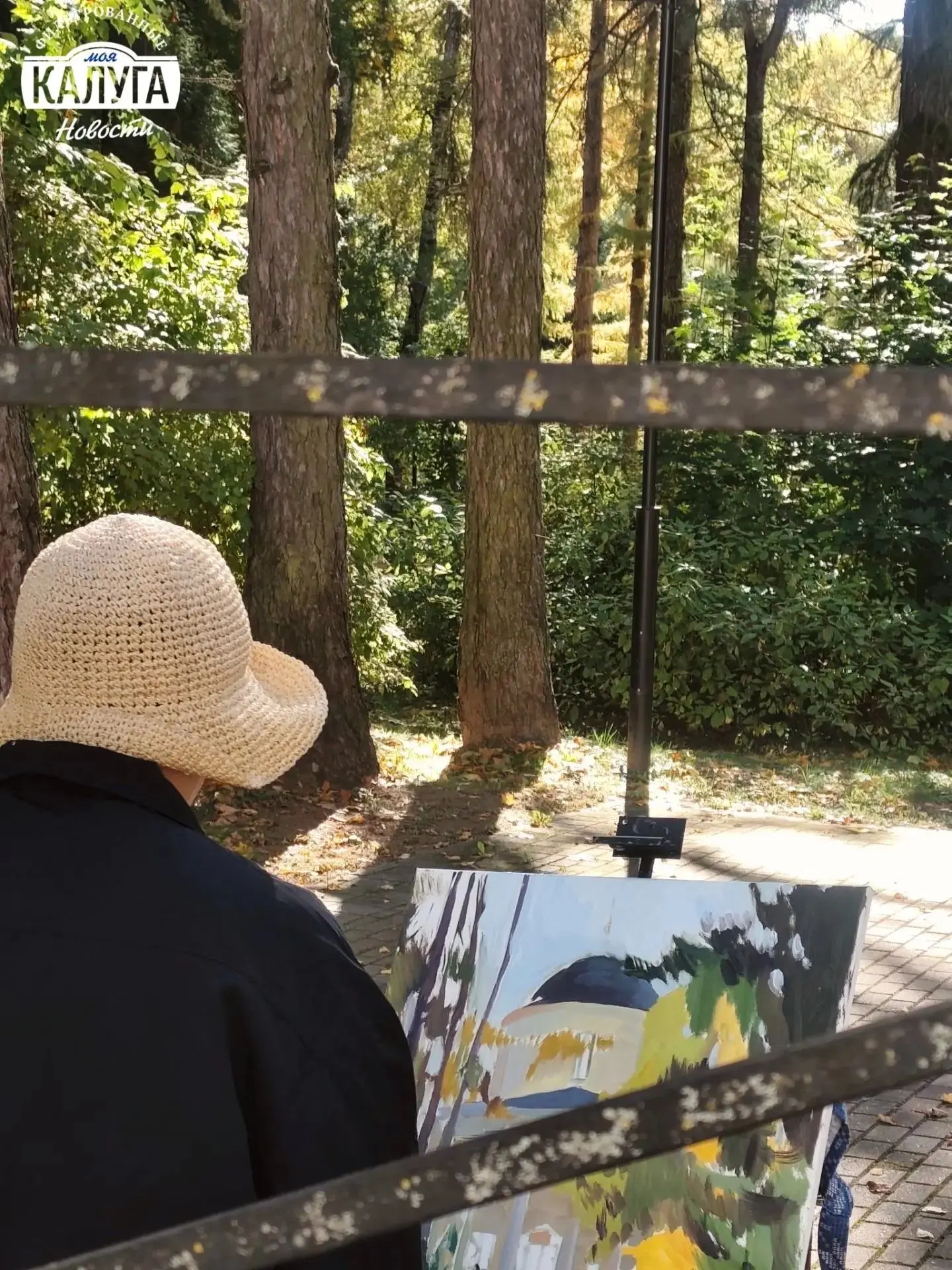 В Калуге царит золотая осень