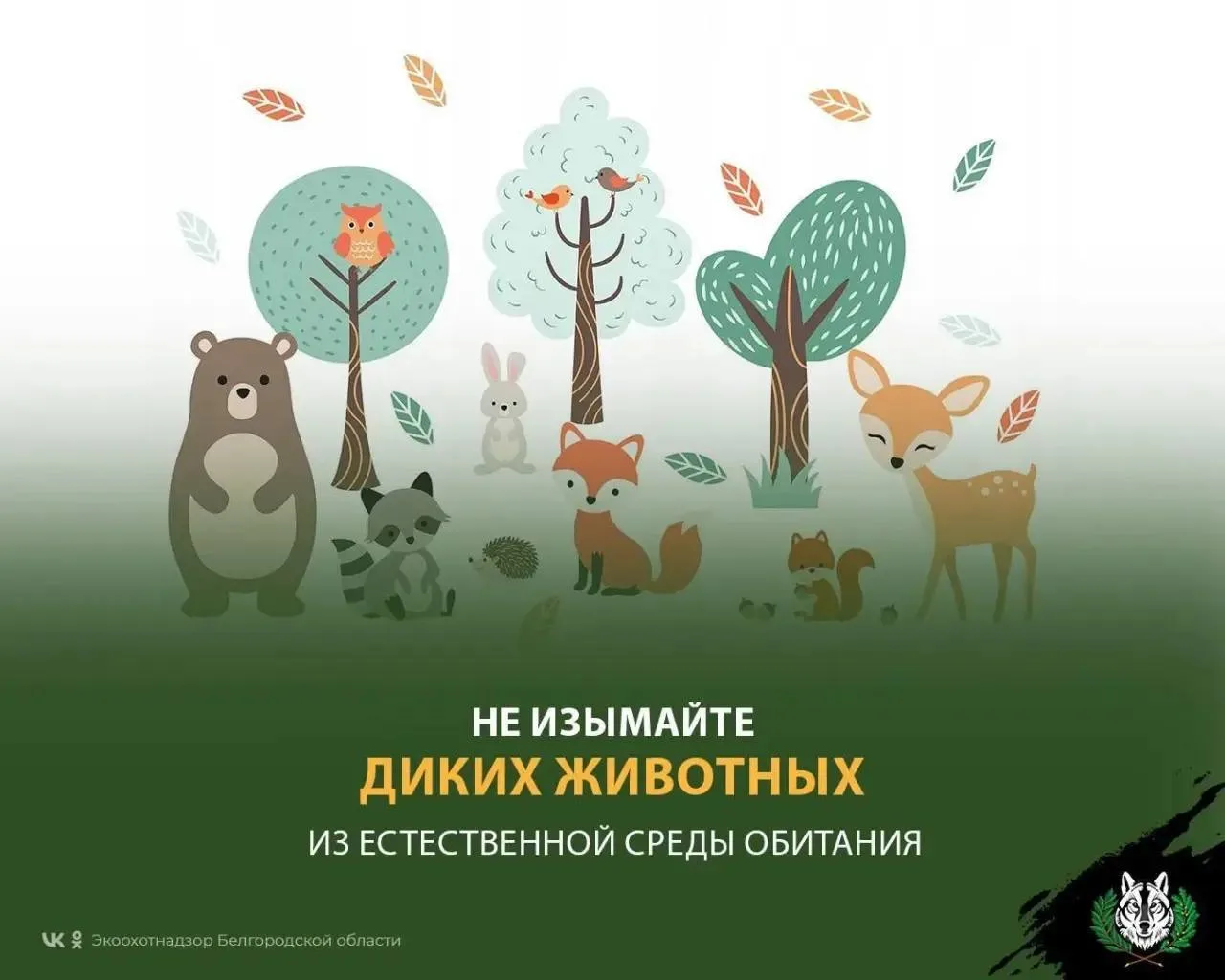 Вы часто спрашиваете, как помочь птенцам и детёнышам диких животных 🩷