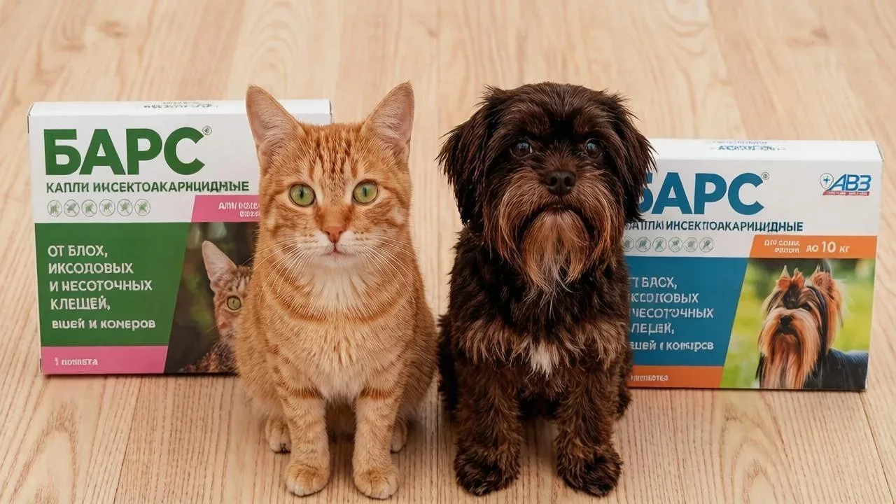 🐾 Осторожно, клещи и блохи! ГБУ «Апастовское РГВО» напоминает об опасности

Весна и лето — время по