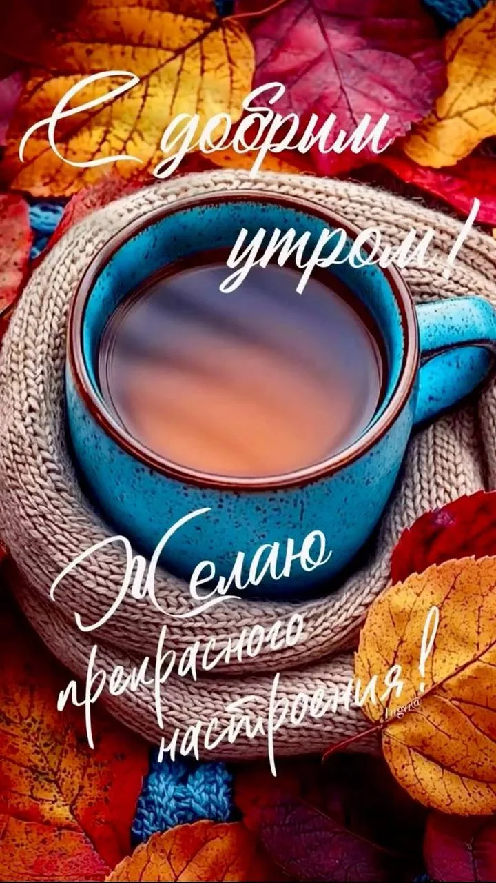 Доброе утро! 🌷