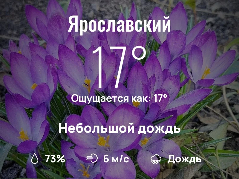 Что с погодой в Ярославском?

Одевайтесь по погоде, берегите себя!
Интересного дня, соседи!

#погода