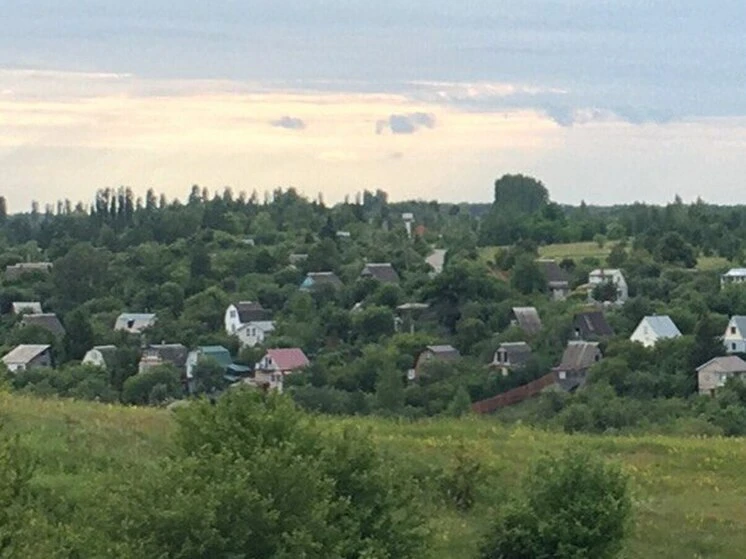 В Воронежской области председатель СНТ сам себе выписал премию в 250 тыс. рублей