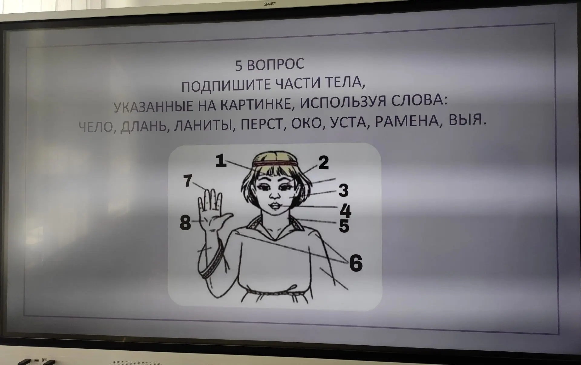 В канун Дня славянской письменности и культуры: квиз «Аз Буки Веди»!