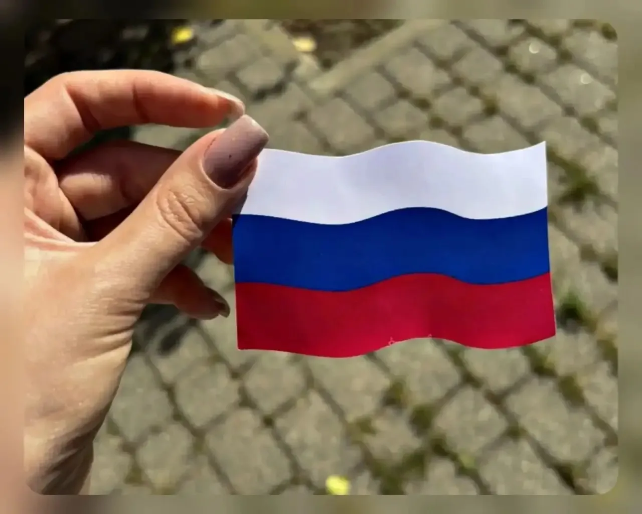 В преддверии празднования Дня Государственного флага Российской Федерации в ЦВР «Мир Ла...