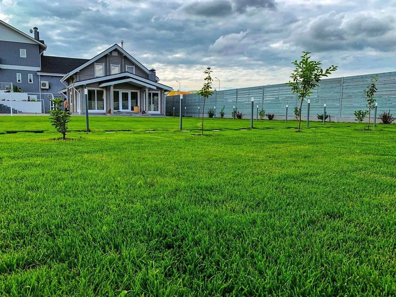 Лето в разгаре. А газона всё ещё нет? ☀️