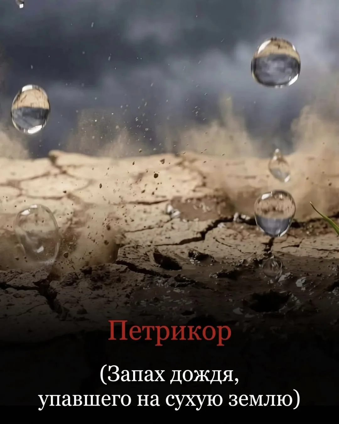 Есть слова, которые звучат как эльфийские имена, а означают бытовую ерунду. И это прекр...