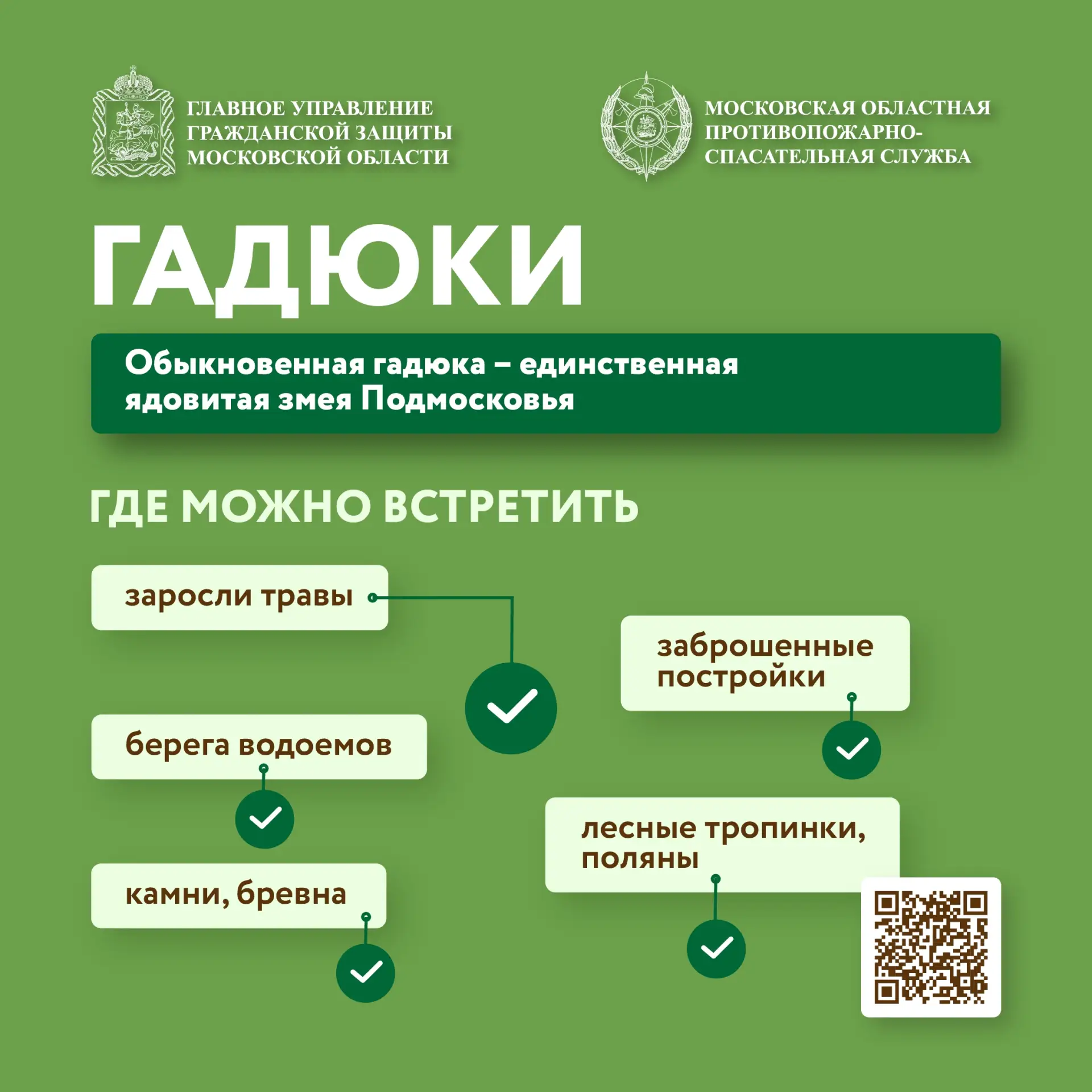 Черноголовка | Москва🏡

🐍 Единственная ядовитая змея в Подмосковье — гадюка обыкновенная.

🌿 Чаще