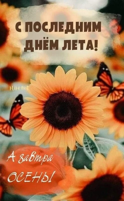 Открытки: подписаться ❤️