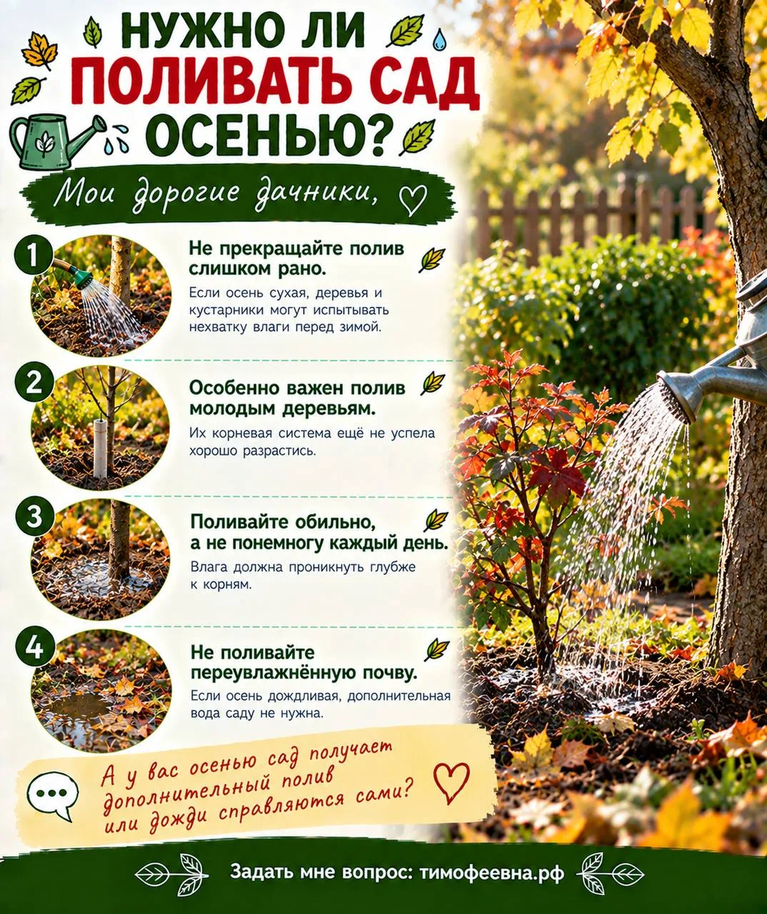 🍇 Нужно ли поливать сад осенью?
