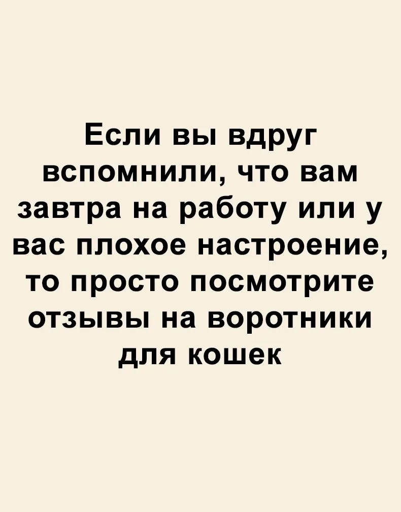 Чeловек просто хотел почитать отзывы перед покупкой воротникa для кота. Ну так, чтобы понять — удобн