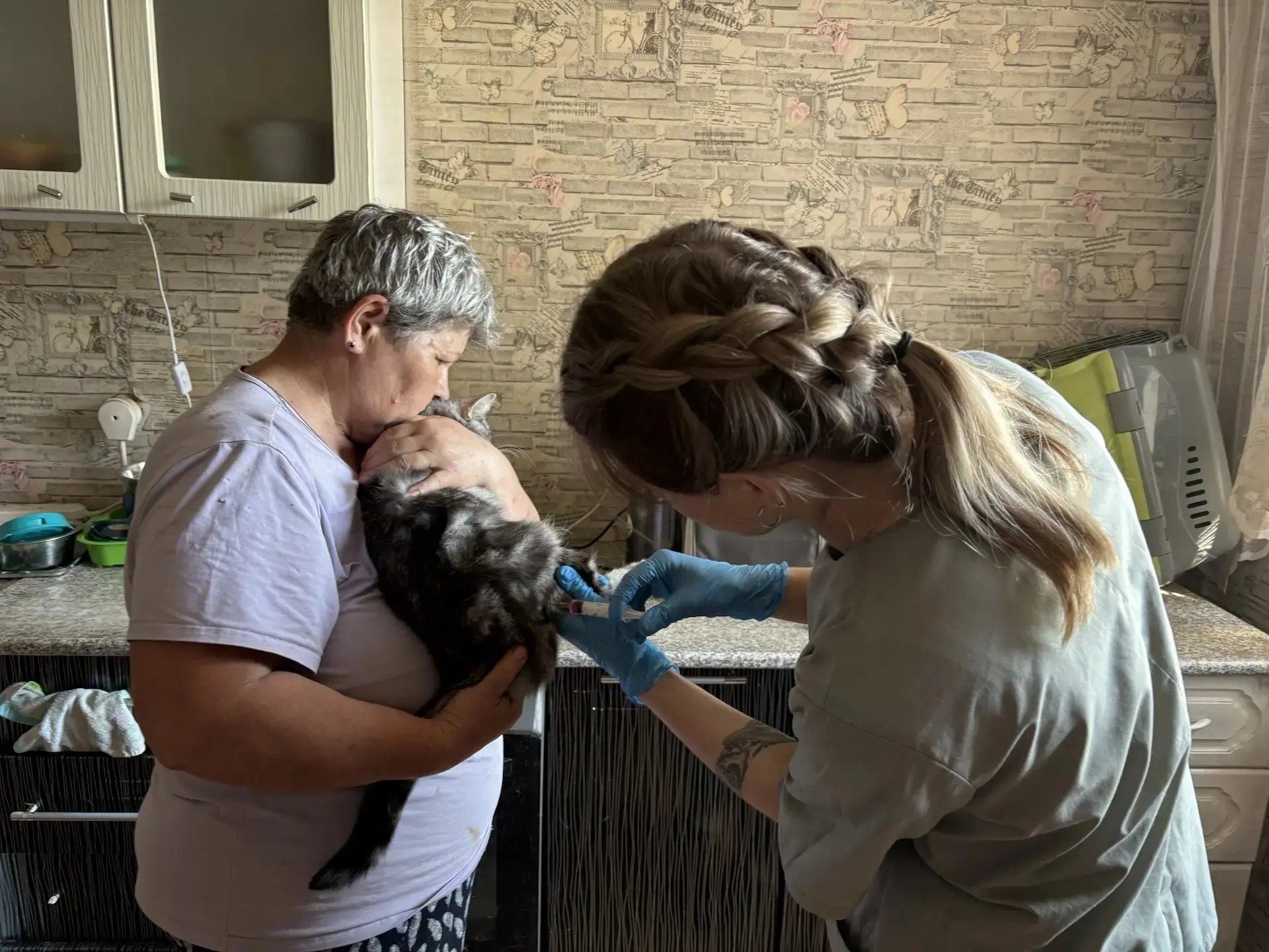 💉 Ветеринарные специалисты ОГБУ «Мантуровская рай СББЖ» проводят профилактические прот...