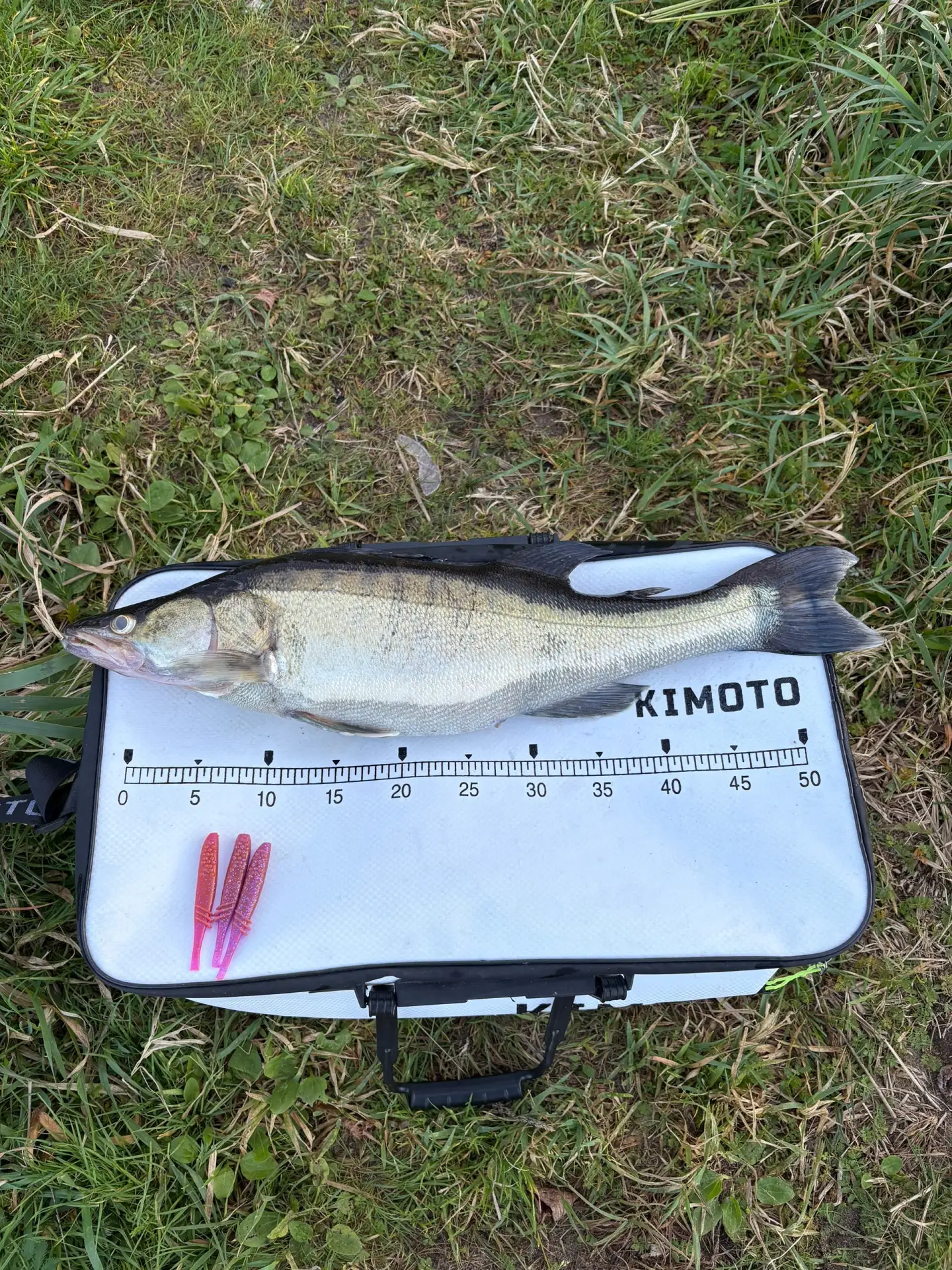 🎣 Утро выдалось туманным, видимость почти нулевая, но на воде тихо и спокойно. Первая ...